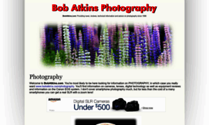 Bobatkins.com thumbnail