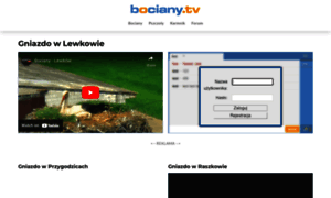 Bociany.tv thumbnail