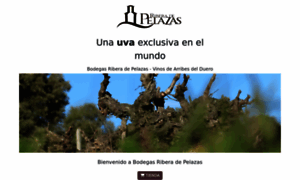 Bodegasriberadepelazas.com thumbnail