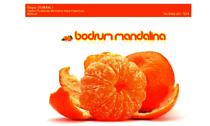 Bodrummandalina.com thumbnail