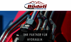 Boedeli-hydraulik.ch thumbnail