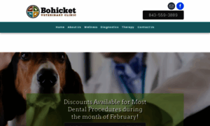 Bohicketvet.com thumbnail