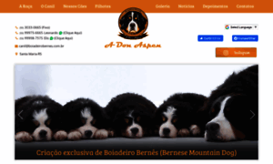 Boiadeirobernes.com.br thumbnail