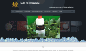 Bolledimaremma.it thumbnail