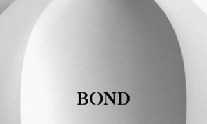 Bondcap.com thumbnail