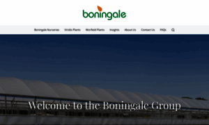 Boningale.co.uk thumbnail