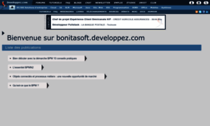 Bonitasoft.developpez.com thumbnail