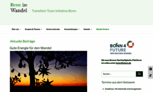 Bonn-im-wandel.de thumbnail