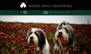 Bonnydogsgrooming.co.uk thumbnail