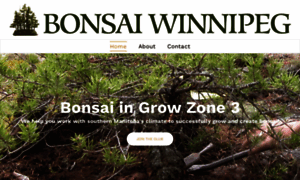 Bonsaiwinnipeg.ca thumbnail