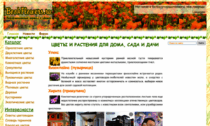 Bookflowers.ru thumbnail