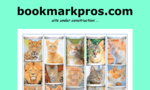 Bookmarkpros.com thumbnail