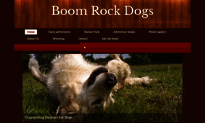 Boomrockdogs.co.nz thumbnail