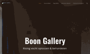 Boongallery.be thumbnail