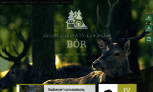 Bor.szczecin.pl thumbnail