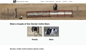 Border-collies.com.au thumbnail