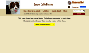 Bordercollie.rescueme.org thumbnail