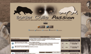 Bordercolliemonamour.forumdediscussions.com thumbnail