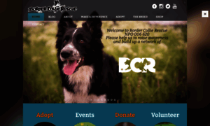 Bordercollierescue.co.za thumbnail