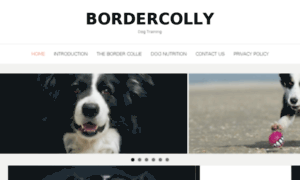 Bordercolly.com thumbnail