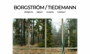 Borgstrom-tiedemann.com thumbnail