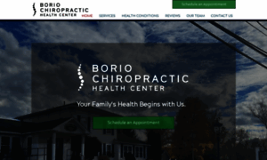 Boriochiropractic.com thumbnail