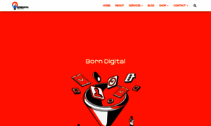 Borndigital.com.au thumbnail