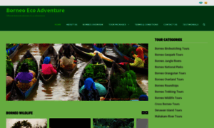 Borneo-ecoadventure.com thumbnail