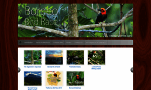 Borneobirdrace.wordpress.com thumbnail