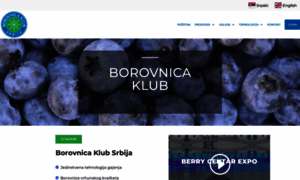 Borovnicaklub.com thumbnail