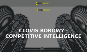 Borowy-consulting.fr thumbnail