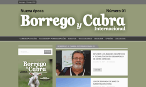 Borrego.com.mx thumbnail