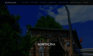 Bortacina.com.tr thumbnail