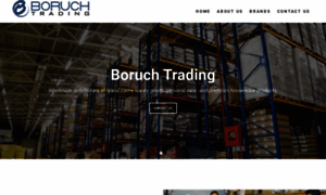 Boruchtrading.com thumbnail