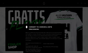 Borussia-eshop.de thumbnail