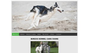 Borzoi.lv thumbnail