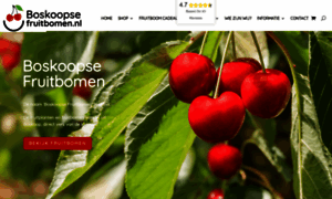 Boskoopsefruitbomen.nl thumbnail