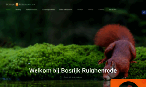 Bosrijkruighenrode.nl thumbnail