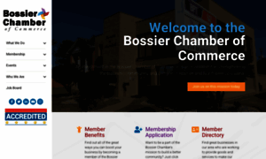 Bossierchamber.com thumbnail