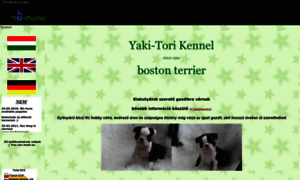 Boston-terrier.hu thumbnail