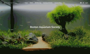 Bostonaquariumsociety.org thumbnail