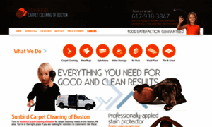 Bostoncarpetcleaningma.com thumbnail