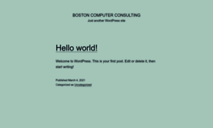Bostoncomputerconsulting.com thumbnail