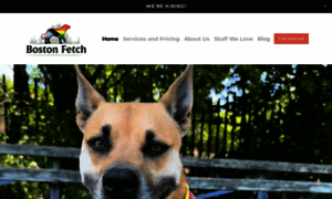 Bostonfetch.com thumbnail