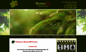 Bostonhillnursery.com thumbnail