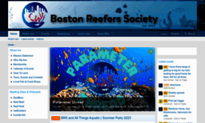 Bostonreefers.org thumbnail