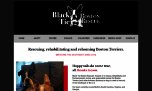 Bostonrescueteam.com thumbnail
