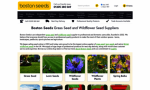 Bostonseeds.com thumbnail