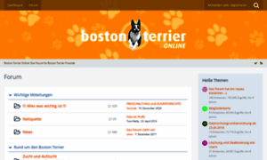 Bostonterrier-online.de thumbnail