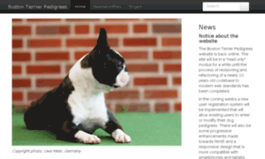 Bostonterrier.be thumbnail